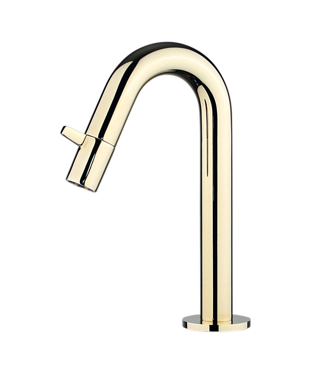 FLEX Kaltwasser Armatur Design  WC Waschtischarmatur Waschbecken gold/chrom 
